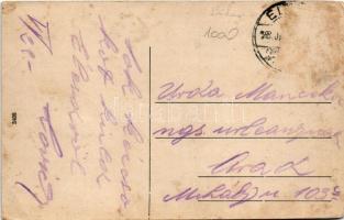 Élesd, Alesd; Gróf Bethlen kastély / castle (fa)