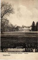 Nagylévárd, Velké Leváre; Gróf Wenckheim kastély. Malaczkai könyvnyomda Wiesner A. kiadása / castle ...