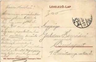 Esztergom, Prímáskerti részlet, Bazilika. Kaufmann Ferenc kiadása (EK)