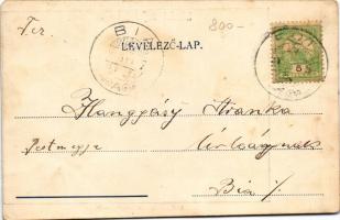 1904 Fót, Gróf Károlyi kastély és parkja. Első rákospalotai könyvnyomda kiadása (EM)