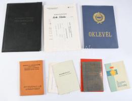 Vegyes szocialista okmányok: "A szakma ifjú mestere" jelvény viselési igazolvány, DISZ tagsági könyv, tanulmányi könyv, oklevél, stb., összesen 14 db