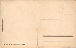 Trieste, Trieszt; Elettrovia di Opicina / Trieste-Opicina tramway, tram, electric railway