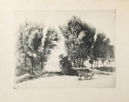 Varga Nándor Lajos (1895-1978): Árnyékos utca. Rézkarc, papír, jelzett, kartonra kasírozva, apró foltokkal, 29×38 cm