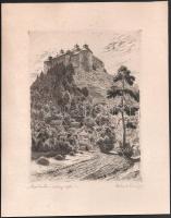 Tichy Kálmán (1888-1968): Sarjúhordás a várhegy alján(Krasznahorka vára?). Rézkarc, papír, kartonra kasírozva, 26x19 cm.