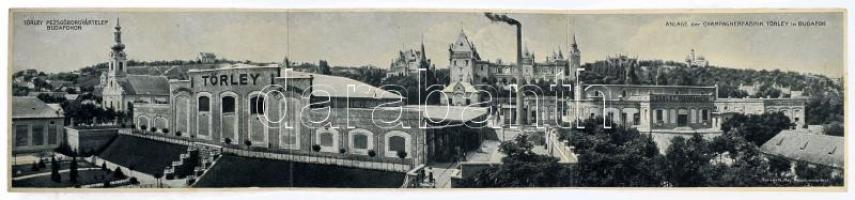 Budapest XXII. Budafok, Törley pezsgőborgyár, gyártelep és kastély. Tervezte Ray Rezső műépítész. 3-...