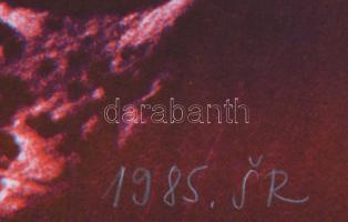 Swierkiewicz Róbert (1942-): Ez, az (1985). Ofszetnyomat, papír. Jelzett, számozott (70/75). 42x30 c...