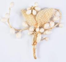 Antik vőlegény ruha felvarró, 6x7 cm