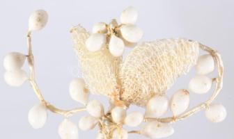 Antik vőlegény ruha felvarró, 6x7 cm