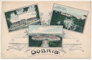 Dobris, Knízecí zamek od silnice, Knízecí zámek od Hutskeho rybníku / castle, park, pond. Art Nouvea...