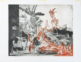 Bodnár Imre (1959-): Vizitáció, 1993. Vaskarc, papír, jelzett. Művészpéldány E.A. II/XV. számozással. Lap szélén paszpartuzás nyomaival. 39×49 cm