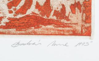 Bodnár Imre (1959-): Vizitáció, 1993. Vaskarc, papír, jelzett. Művészpéldány E.A. II/XV. számozással...