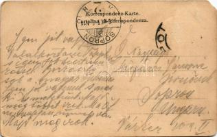 1906 Pola, Pula; Porta Aurea, Arena / arena, gate, port. Art Nouveau, floral, litho (EM)