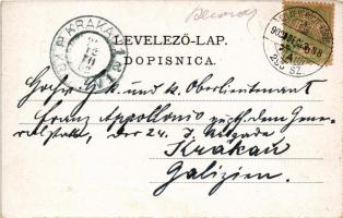 1902 Belovár, Bjelovar; Kukuljeviceva ulica, Kr. velika gimnazija / utca, gimnázium. Adolf Kolesar k...
