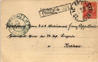 1903 Eszék, Essegg, Osijek; Drveni most preko Drave / Fahrbröcke über die Drau / wooden bridge over ...