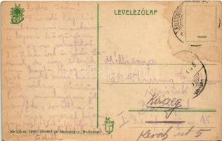 Újtátrafüred, Neu-Schmecks, Novy Smokovec (Magas-Tátra, Vysoké Tatry); látkép hegycsúcsokkal, fogask...