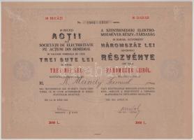 1923. Románia / Dés "A Szentbenedeki Elektromos Művek Részvénytársaság" 10db névre szóló r...