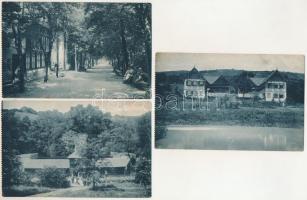 Báznafürdő, Bad Baassen, Baile Bazna; - 3 db régi város képeslap: Emma és Josefin villák, Sziklafürdő, Gyógyterem / 3 pre-1945 town-view postcards: villas, baths