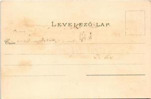 1898 Arad, Szabadság tér, piac, Színház épület délről nézve, Jószágkormányzóság palotája / square, m...