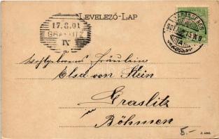 1901 Karánsebes, Caransebes; Hauptplatz / Fő tér, Steinschneider és Társa, Georg Metzger üzlete / ma...