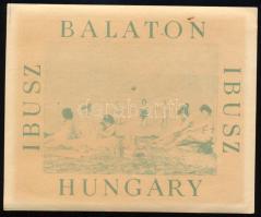 Ibusz Balaton matrica