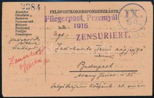 1915 Tábori posta levelezőlap, kézi Zensuriert feljegyzéssel / Field postcard with handwritten Zensu...