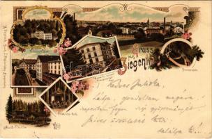 1898 Glucholazy, Bad Ziegenhals; Juppebad, Ferdinands-Bad, Musik-Pavillon, Friedrichs-Ruh, Promenade...