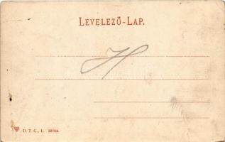 Miskolc, Diósgyőri vasgyár madártávlatból. D.T.C.L. (EB)