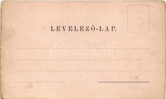 Miskolc, főgimnázium, Városház tér, Megyeház utca, piac, Diósgyőri várrom. Verő J. és társa kiadása....