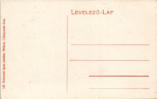 Miskolc, látkép a Deák utcáról, zsinagóga. Grünwald Ignác kiadása (EK)