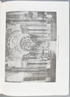 Borovszky Samu: Vas vármegye. Magyarország vármegyéi és városai. Praznovszky Mihály bevezetőjével. B...