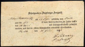 1875 Pest, himlő elleni oltás igazolás
