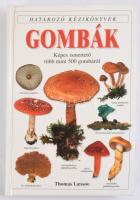 Thomas Laessoe: Gombák. Ford.: Ács Eszter. Határozó kézikönyvek. Bp., 1998, Panemex - Grafo, 304 p. Kiadói kartonált papírkötés, helyenként kis lapszéli ázásnyomokkal, kissé hullámos lapokkal.