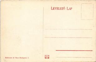 Tolcsva, Szirmay-Waldbott kastély. Hollenzer &amp; Okos felvétele (EK)