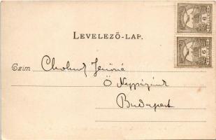 Budapest, Lánchíd, kilátás a Bazilika felé. A képeslap címzettje Cholnoky Jenőné, a földrajztudós fe...