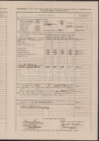 1919 Hőgyész, tanító bejelentőlap