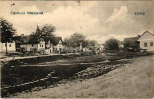 Nőtincs, látkép, utca. Fogyasztási szövetkezet kiadása (fl)