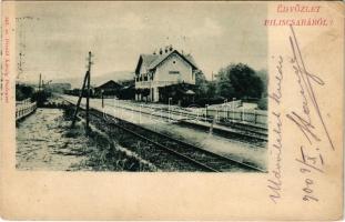 1900 Piliscsaba, vasútállomás. Divald Károly 345. (EK)