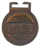 Amerikai Egyesült Államok 1986. "Az Ötödik Orvosi Informatikai Világkongresszus - Medinfo 86 Washington / Nemzetközi Orvosi Informatikai Szövetség - Amerikai Medinfo Tanács 86" bronz emlékérem sérült(?) füllel, nem eredeti tokban (31mm) C:AU USA 1986. "The Fifth World Congress on Medical Informatics - Medinfo 86 Washington / International Medical Informatics Association - U.S. Council for Medinfo 86" bronze medallion with damaged(?) ear, not in original case (31mm) C:AU