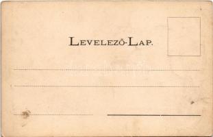 Nyíregyháza, Színház, Korona szálloda, Vármegyeháza, Evangélikus templom. Fénynyomat Divald Art Nouv...