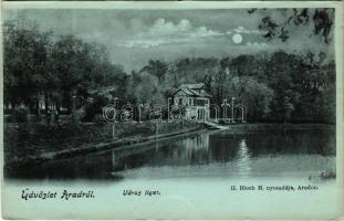 Arad, Városliget este holdfényben. Bloch H. nyomdája kiadása / park at night in moonlight (vágott / cut)
