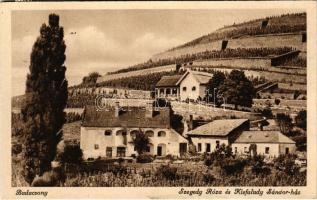 1943 Badacsony, Kisfaludy Sándor és Szegedy Róza ház (EK)