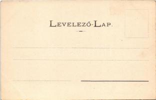 Bálványosfürdő, Baile Balvanyos (Torja, Turia); Főépület. Fénynyomat Divald műintézetéből / spa hote...