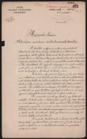 1896-1897 Hets Ödön részére szóló, Soroksár határában, a soroksári Duna bal-partján létesítendő hala...