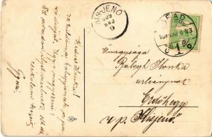 1909 Kézzel rajzolt katonai művészlap. A karikaturista levelével / hand-drawn military art postcard,...