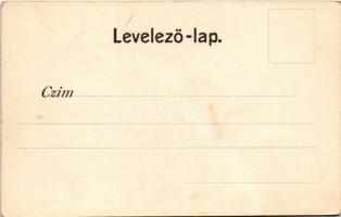 Kolozsvár, Cluj; Fő tér, gyógyszertár, Csiky Mihály, Csillag Manó, Bányai Sámuel és fia, Hubay Károl...