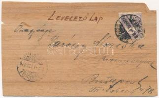 1900 Siófok, kézzel festett művészlap fakéregből (b)