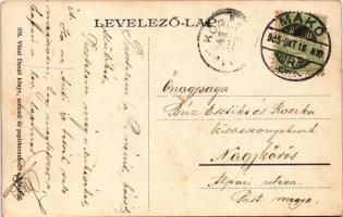 1905 Makó, Városháza, Tokár András, Berliner Mór üzlete. Vészi Dezső kiadása (fl)