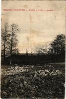 1913 Modor-Harmónia, Modern-Harmonie, Modra; Kilátás a Király utcára (Királyfa felé) / view to Králo...