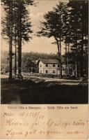 1912 Modor, Modra; Városi villa a fövenyen. Levius P. S. kiadása / Städt. Vill am Sand / villa (felü...