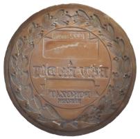 1992. "1992-ben (...) a BÁV Rt. díj (...) fokozat részére" gipsz előlapi NEGATÍV nagyminta (198mm) T:AU